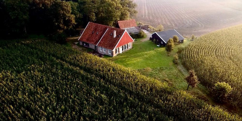 1221b66a-0856-481f-8181-29a5d4d14ce8